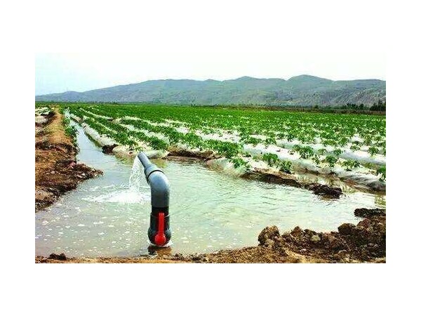 让水质检测报告告诉你农田灌溉水安不安全